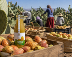 🌵💚 Nectar de Figue de Barbarie 100% Naturel | نكتار الهندية الطبيعي 100%